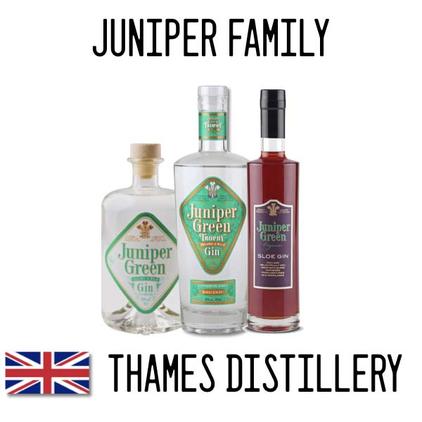 juniper-family